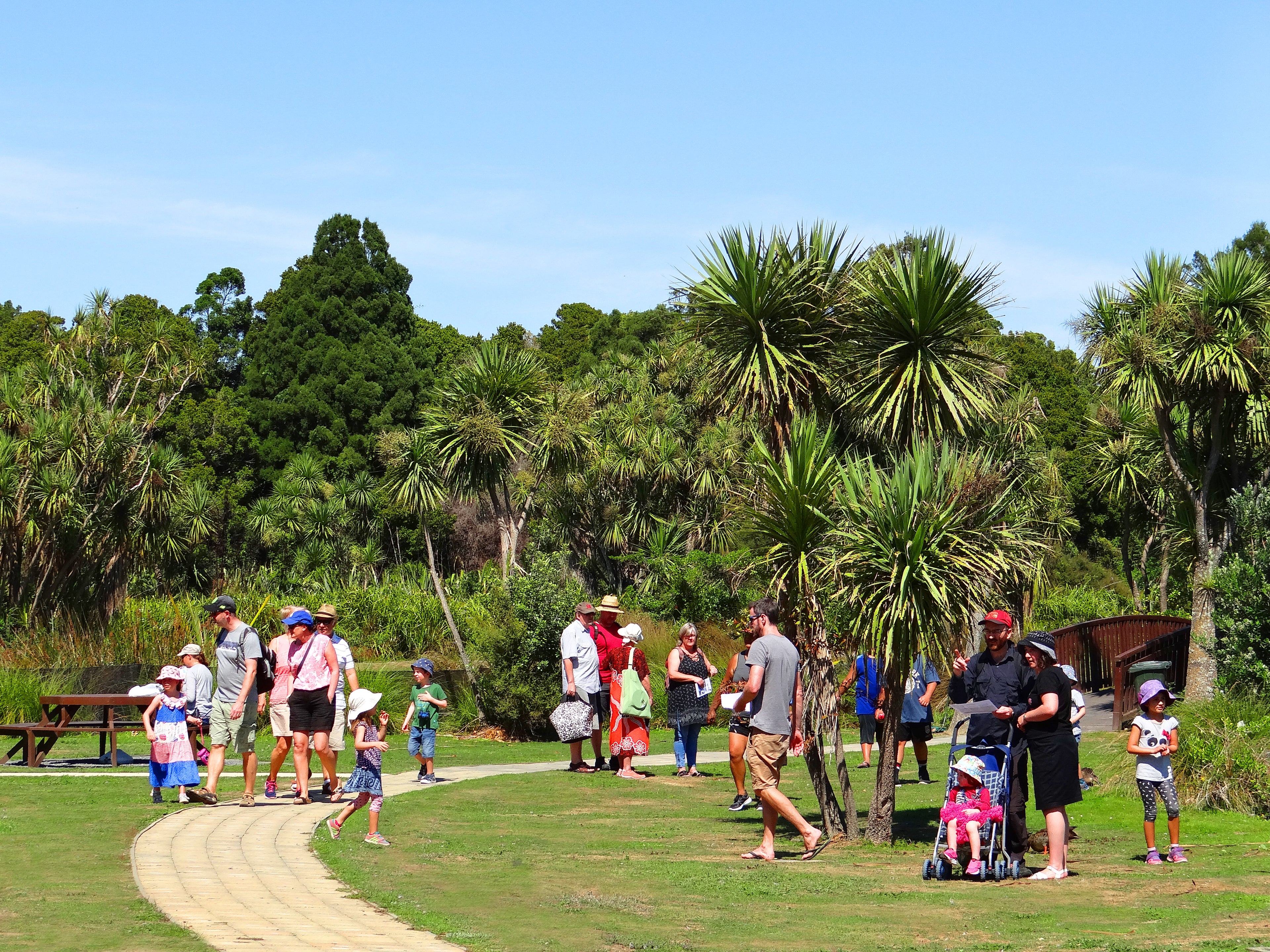 Groups of families spending a Summer day at Ngā Manu nature reserve in Waikanae on the Kāpiti coast.