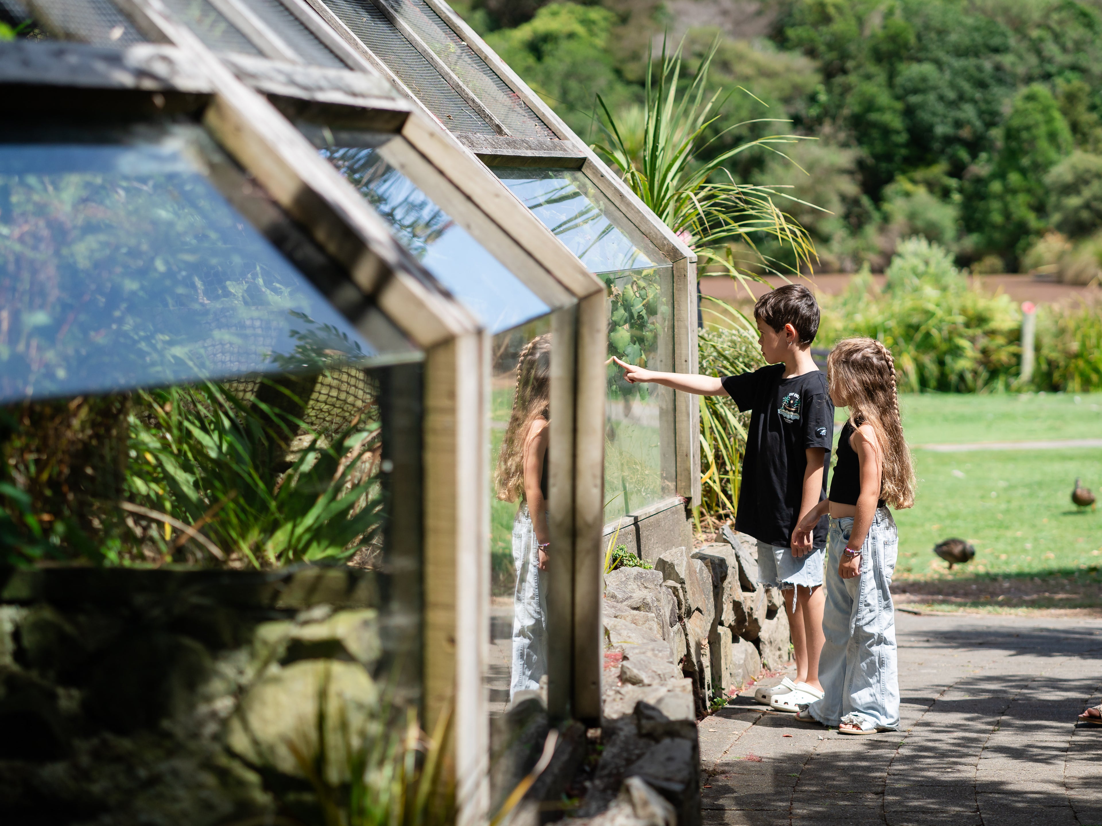 children looking at the Tuatara enclosures at Ngā Manu nature reserve in Waikanae on the Kāpiti coast.