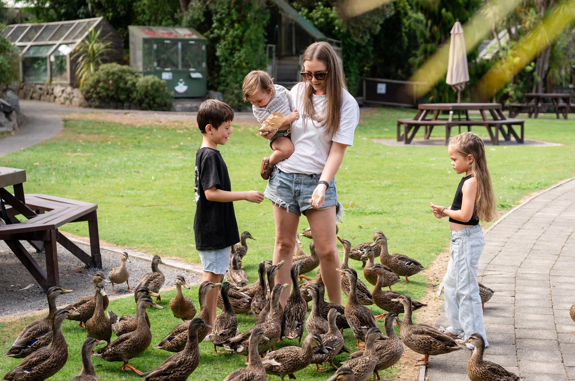 a family feeding the ducks and enjoying a day at Ngā Manu nature reserve in Waikanae on the Kāpiti coast.