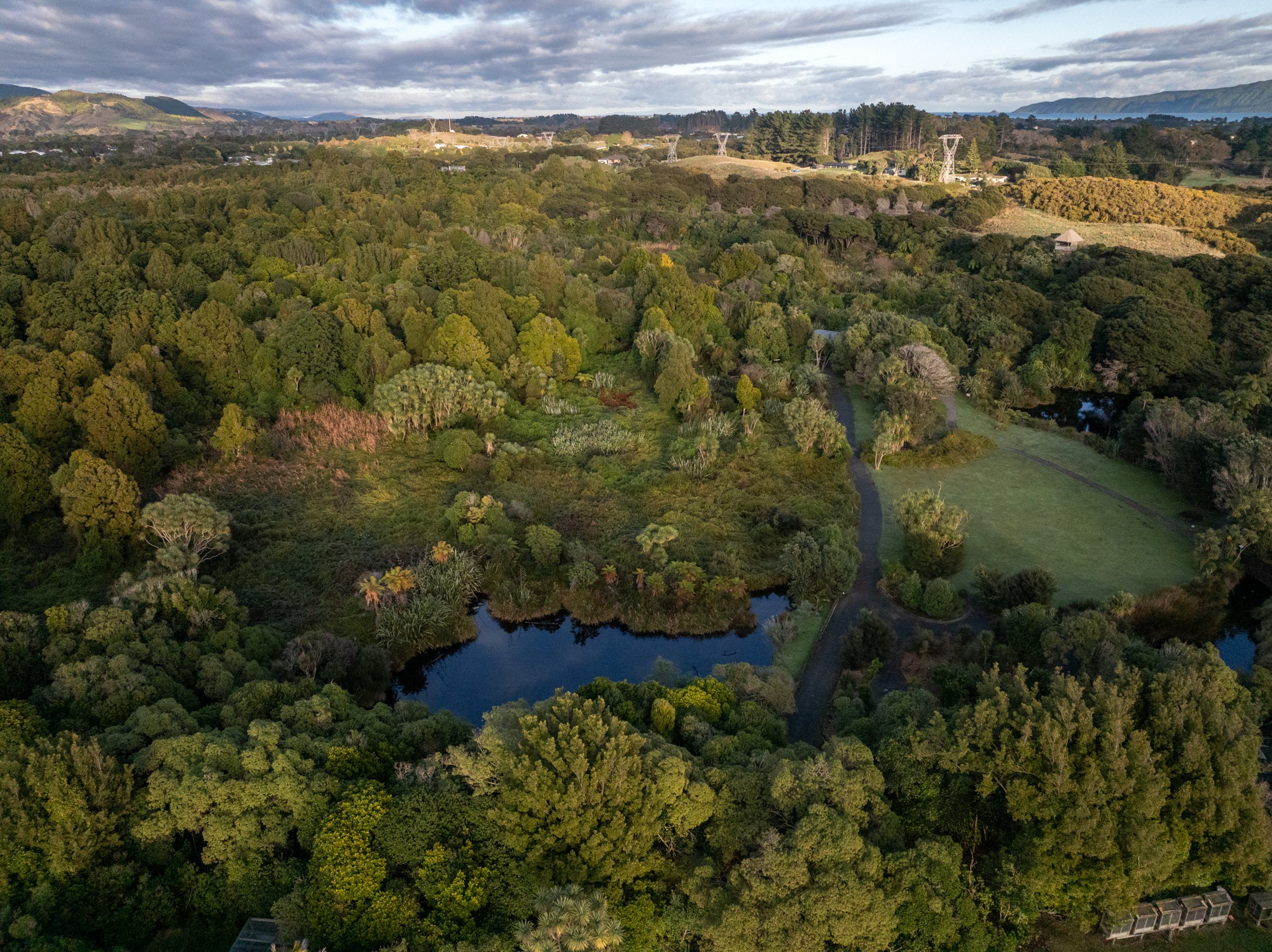 A drone shot showing how much land the team take care of at Ngā Manu nature reserve in Waikanae on the Kāpiti coast.