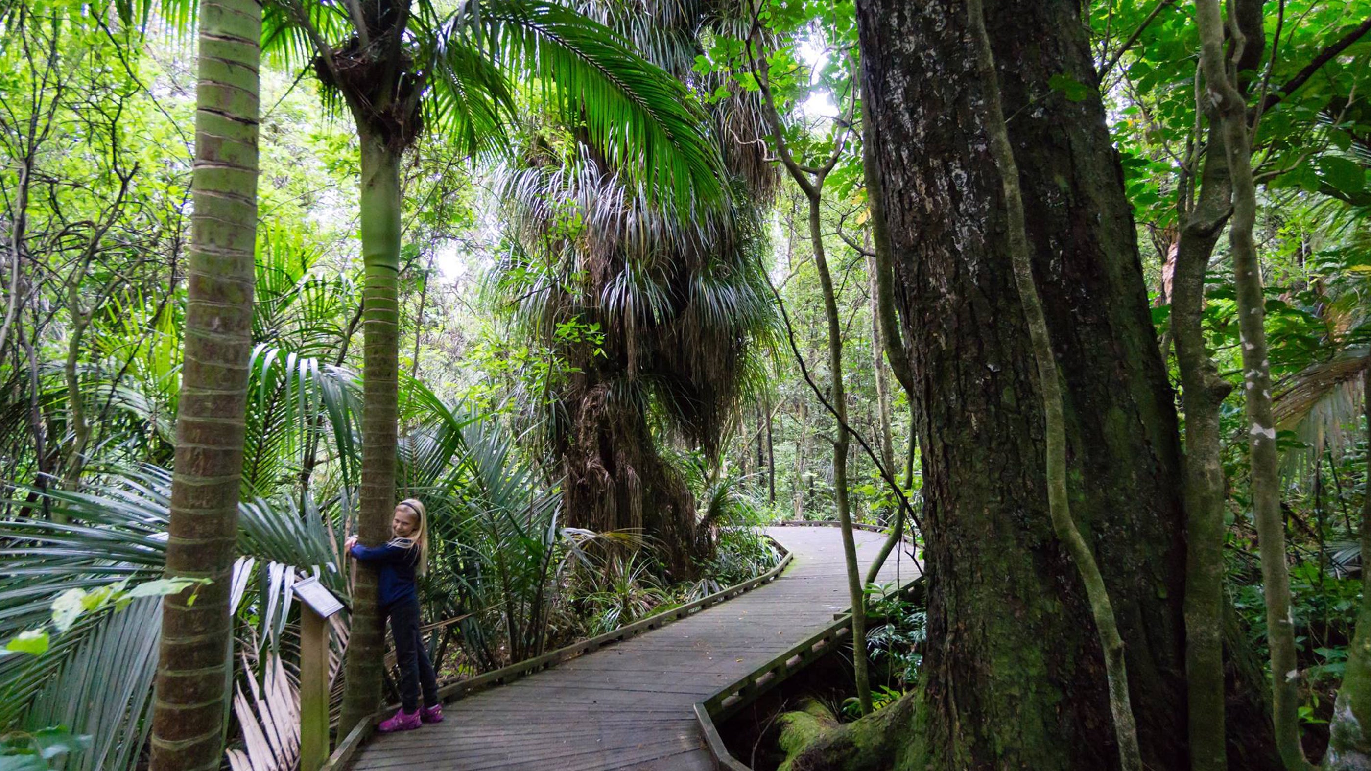 A friend of Ngā Manu enjoying the nature reserve bush walk trail in Waikanae on the Kāpiti coast