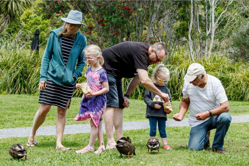 Friends of Ngā Manu nature reserve in Waikanae on the Kāpiti coast.