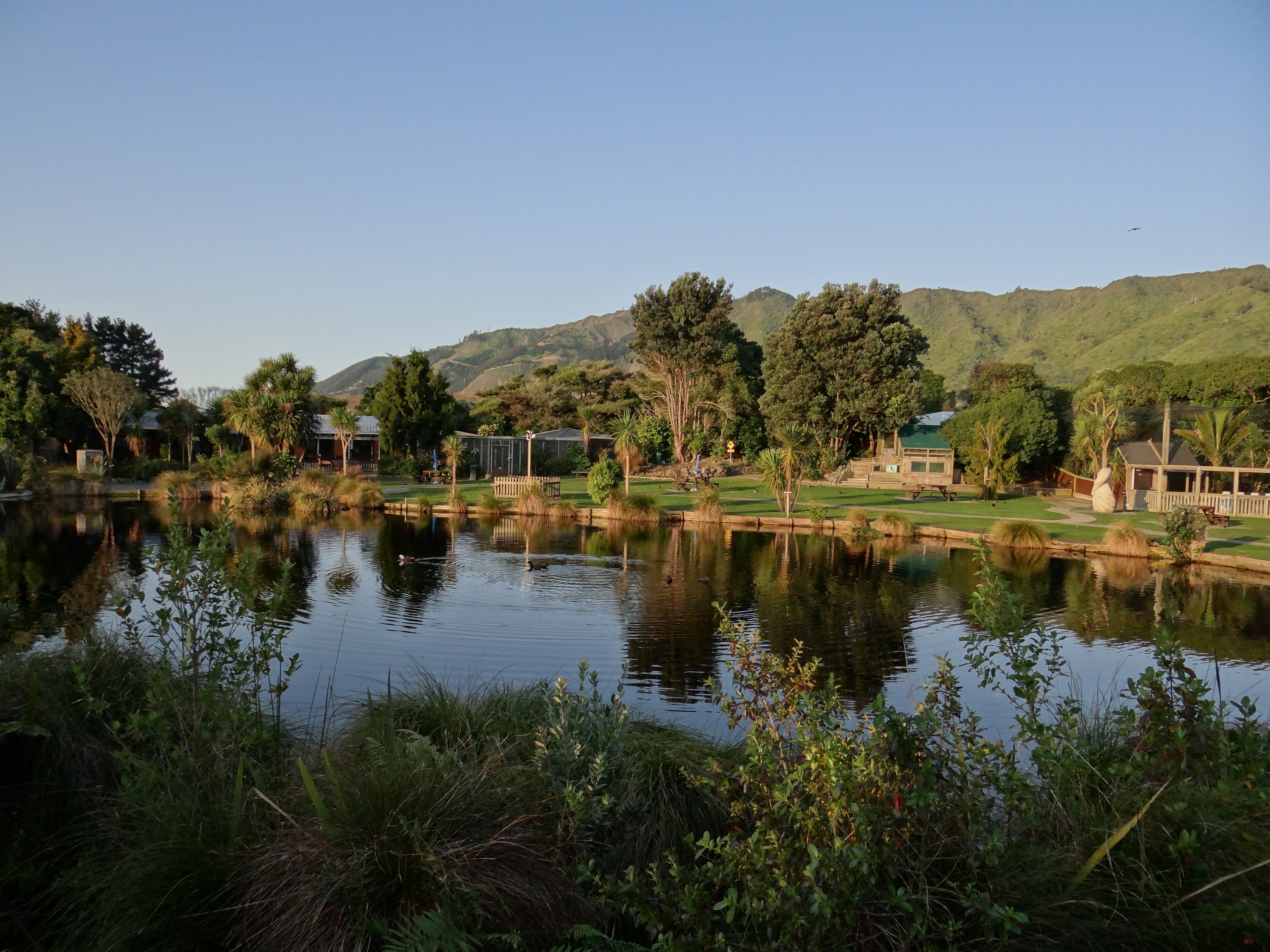 A shot of the pond with the aviaries, Robin's nest and the hills in the background at Ngā Manu nature reserve in Waikanae on the Kāpiti coast.